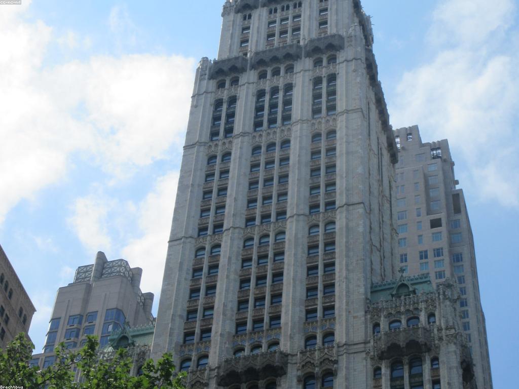 ព័ត៌មានថ្មីៗ និងនិន្នាការបច្ចុប្បន្ន